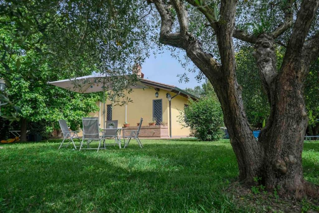 Villa Luxury Pool & Garden Pisa Exterior foto