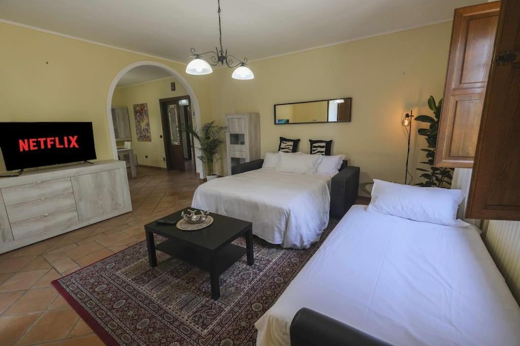 Villa Luxury Pool & Garden Pisa Exterior foto